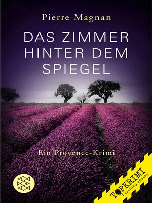 cover image of Das Zimmer hinter dem Spiegel